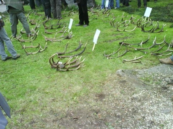 Část shozů z výstavy 2009