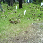 Část shozů z výstavy 2009