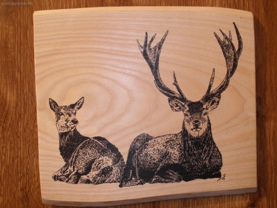 podla foto od- (Edu)