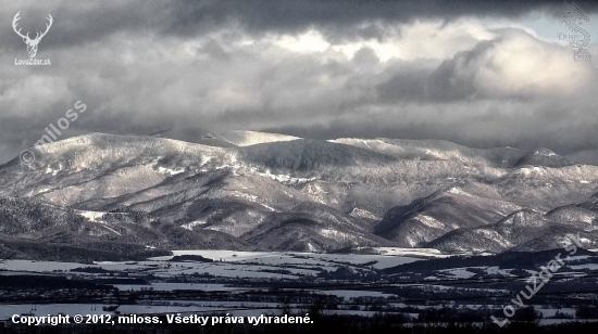 23.1. 2012