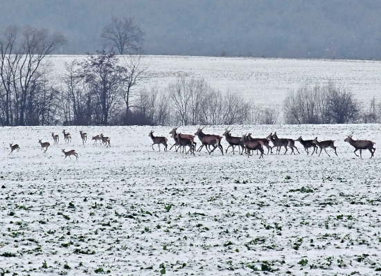 25.12. 2012