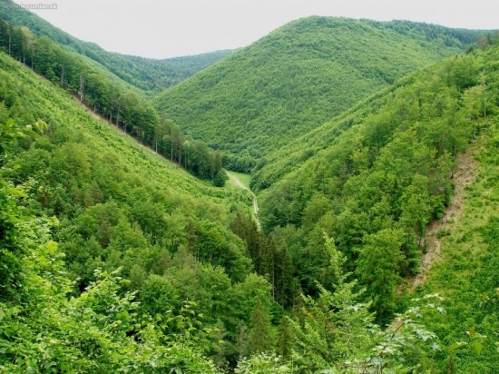repeš  /podla tur. mapy /