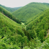 repeš  /podla tur. mapy /