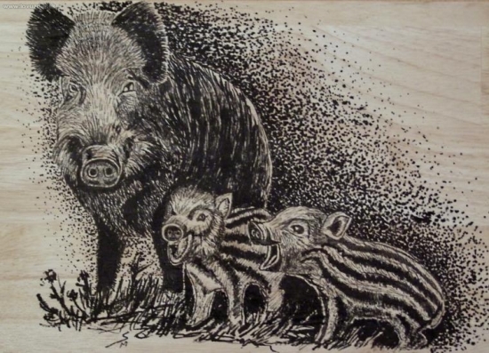 Podla práce od Carpina