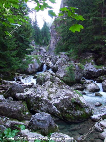 potok