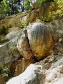 Kamenné gule na Kysuciach