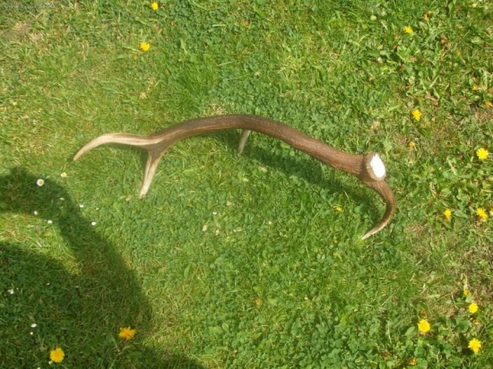 takto tam ležal