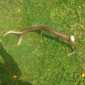 takto tam ležal