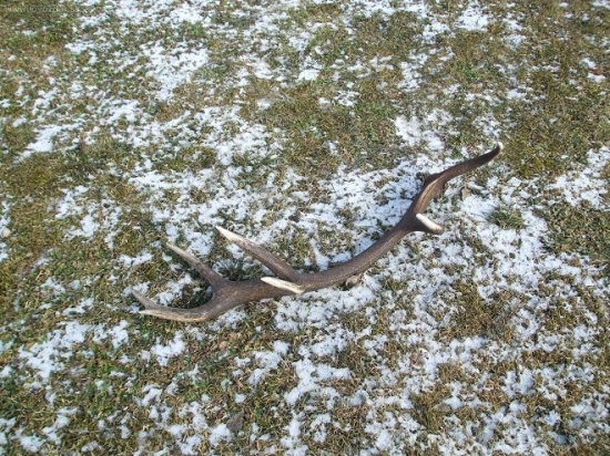 prvy tohto roku -konecne