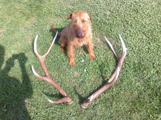 prva sezona prva para 147,22b