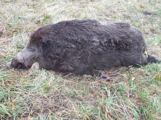 dobrý úlovok mojho priateľa