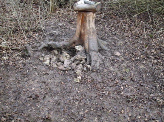 Moje - navstevuju tiez ...