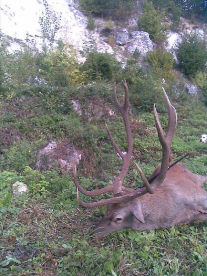 Kolegova štvorečka