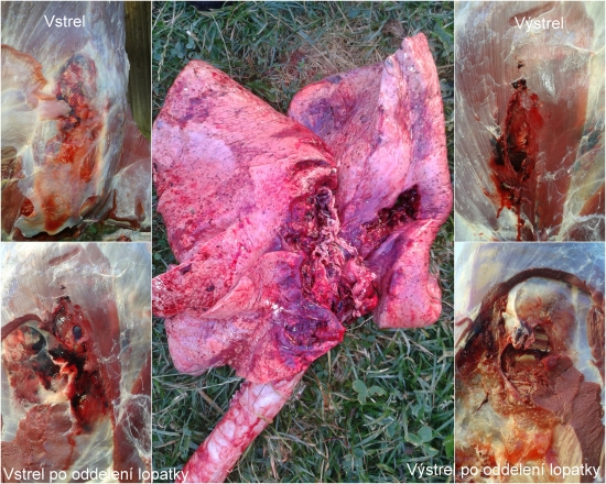 Sako hamerhead 11,0 g cal 7x64