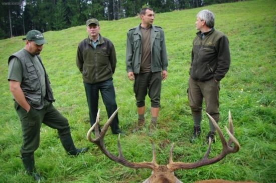 Jeleň z Poľany LS Poľana