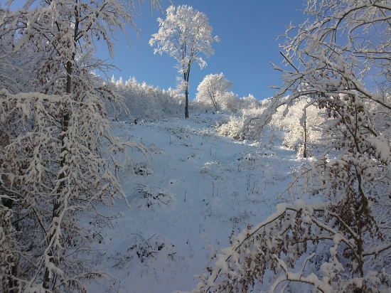 Zasnazene rubanisko