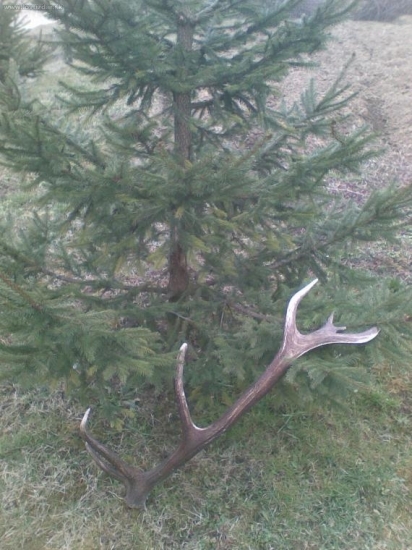 Moj prvy 14- stor. skoda ze druhy som nenasiel paroztek