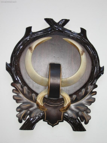 bronzový úhyn po preparaci