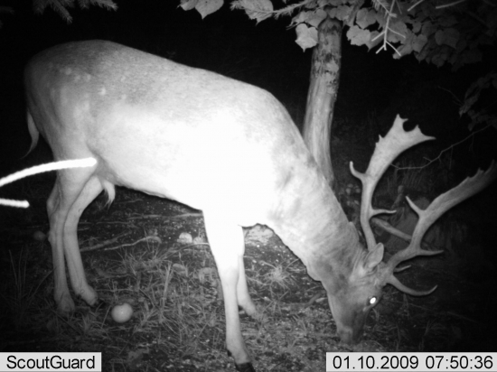 tehdy jsem ještě zdaleka netušil, že bude den na to můj...