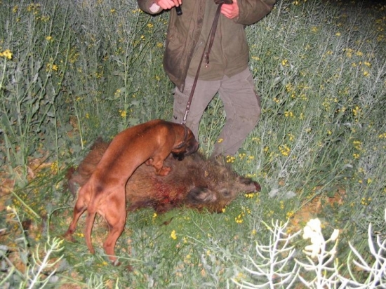 závěr dnešní náročné dohledávky