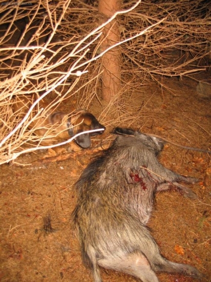 naše první dohledávka po operaci