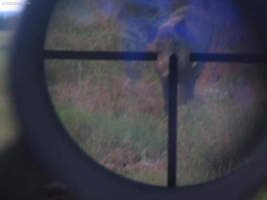 rozmazaná,ale přesto potěšila.. (asi 4 letý kňour)