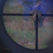 rozmazaná,ale přesto potěšila.. (asi 4 letý kňour)