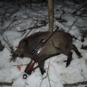 valentýnský cvalda