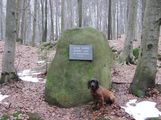 ale se umí tvářit :-)