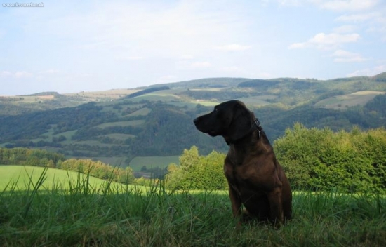 procháska nad Vlárským průsmykem (S.Štěpán)