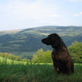 procháska nad Vlárským průsmykem (S.Štěpán)