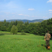 příchod k rybníčku na potůčkové