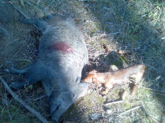 dnešní lončák z ranní šoulačky