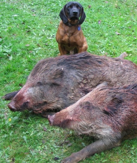 včerejší šoulačka při dušičkovém úplňku