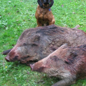 včerejší šoulačka při dušičkovém úplňku