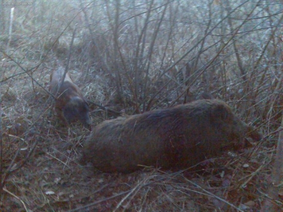 před dostřelením..