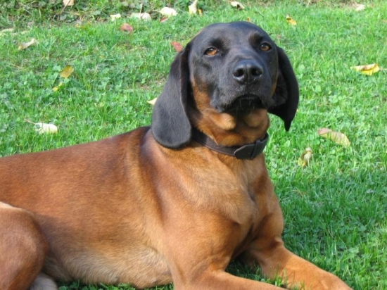 co tu zkoušíš s tím foťákem?!? :-)