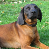 co tu zkoušíš s tím foťákem?!? :-)