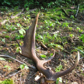 ještě jednou a v detailu