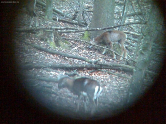 čertíci přes dalekohled