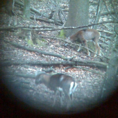 čertíci přes dalekohled