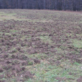 často se opakující pohled na naše louky a golfové hřiště..