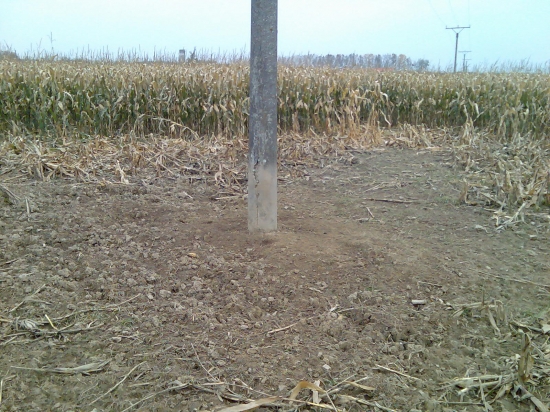 když v lánu chybí ,,otěrové stromy´´ .. :-)