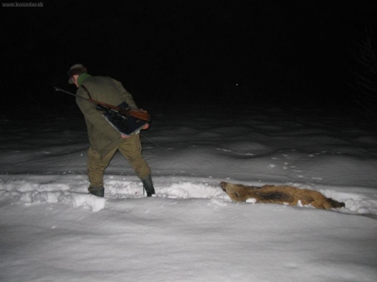 klasický obrázek zimních večerů..