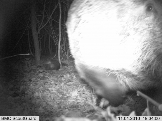 poslední foto a pak .... tak trochu problém..