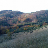 nejklidnější a nejatraktivnější část honitby