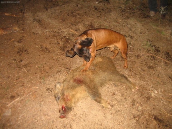 to bylo něco na něj..:)