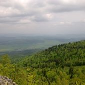 Rohacka