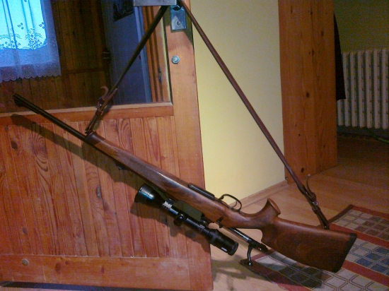 A este krat 308Win