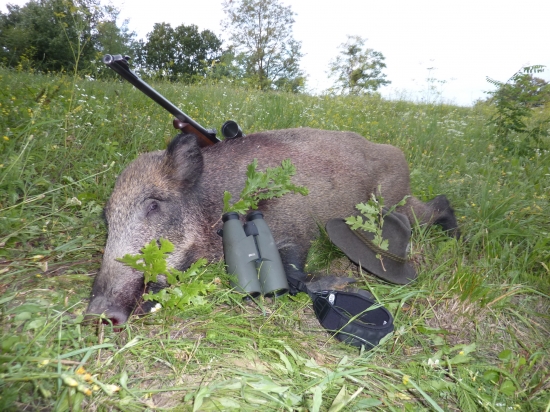 Za skorého rána...